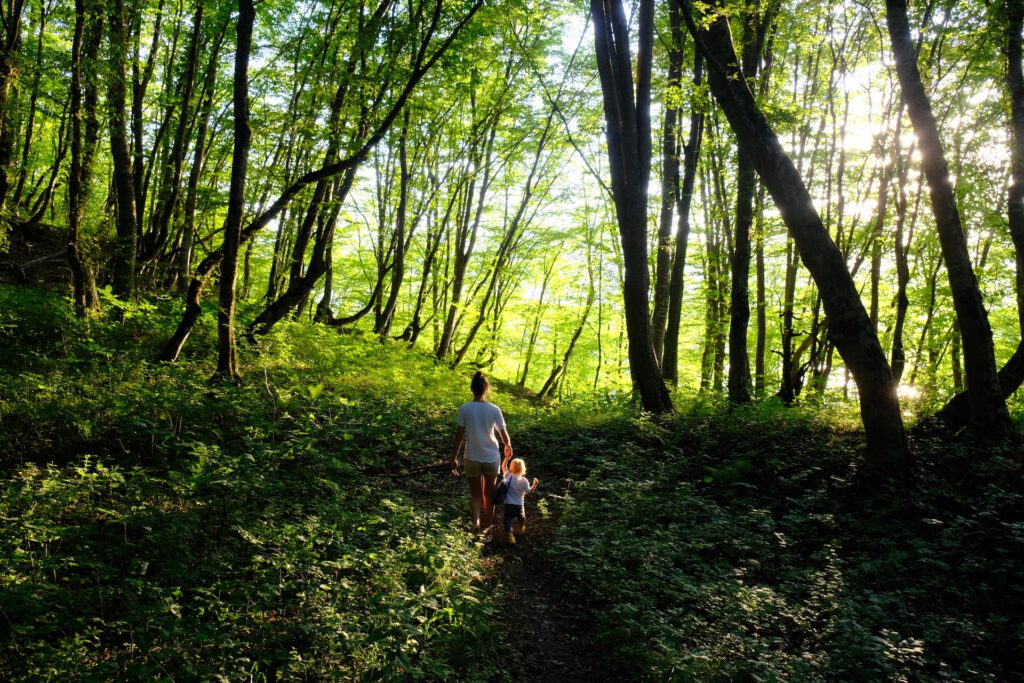 wandern im Thüringer Wald green moment activities