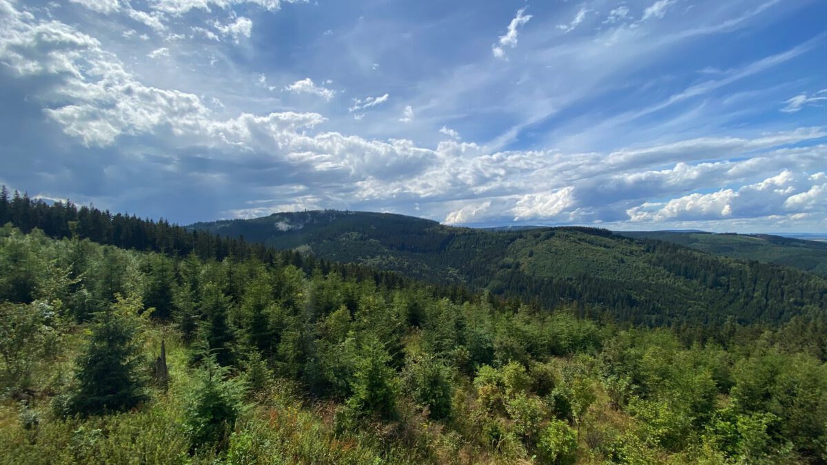 Grüne Landschaft unter Blauem Himmel mit einigen ziehenden, dünnen Wolken