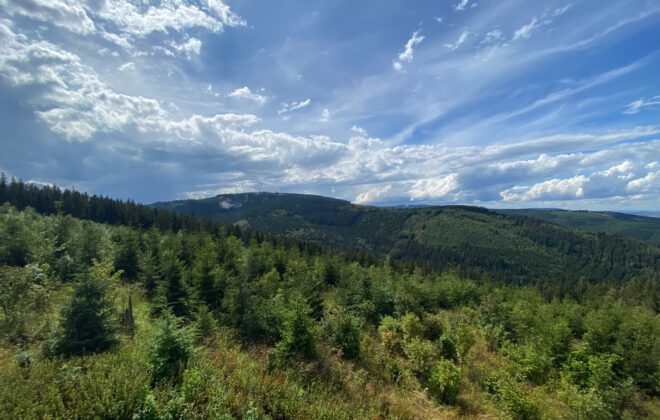 Grüne Landschaft unter Blauem Himmel mit einigen ziehenden, dünnen Wolken