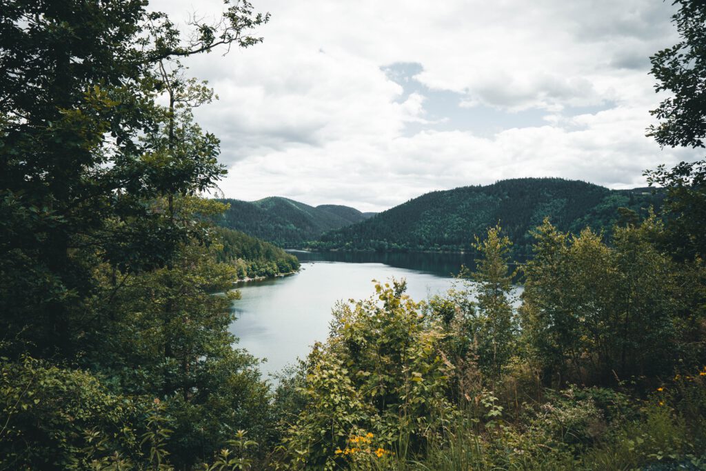 Ausblick auf ein Gewässer, herum sind Sträucher und im Hintergrund sind Hügel mit Wäldern zu sehen. 