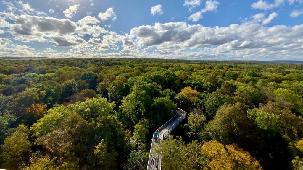 Familie wandert durch den Nationalpark Hainich